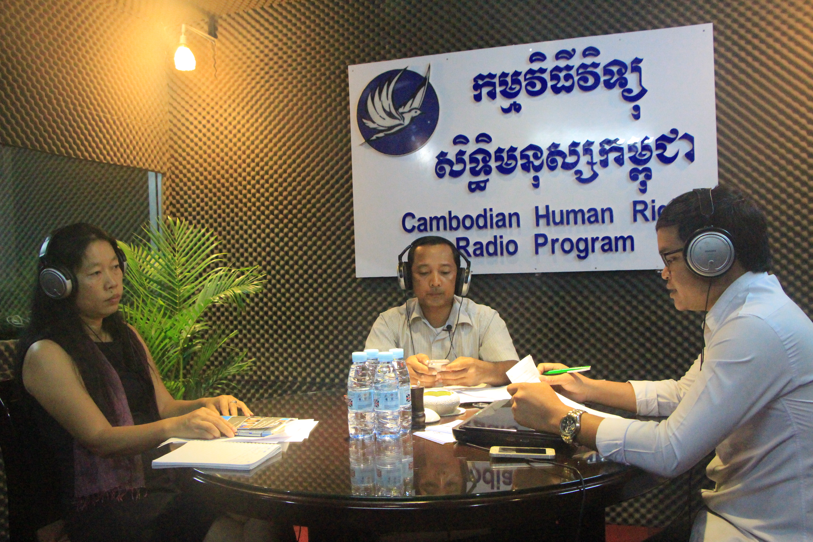Guiding Principles and Business and Human Rights: State Obligations to Protect Human Rights