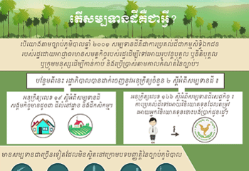 Land Concessions 