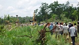 មន្ត្រី​សិទ្ធិ​មនុស្ស​ម្នាក់​ត្រូវ​តុលាការ​កោះ​ហៅ​រឿង​បាតុកម្ម បំផ្លាញ​អំពៅ​ក្រុម​ហ៊ុន​ចិន