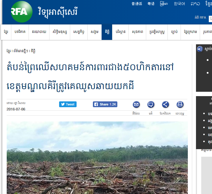 តំបន់ព្រៃឈើសហគមន៍ការពារជាង៥០ហិកតារនៅខេត្តមណ្ឌលគិរីត្រូវគេឈូសឆាយយកដី