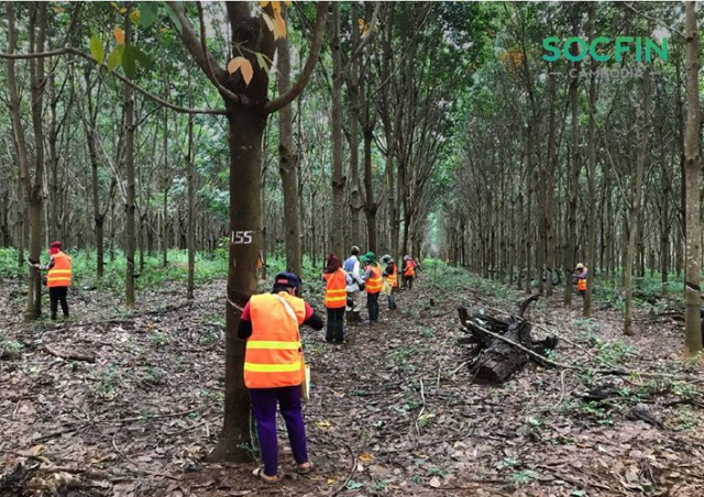 ក្រុមហ៊ុន Socfin Cambodia ប្រកាសពីសមិទ្ធផលនៃទំនួលខុសត្រូវក្នុងសង្គមរបស់សាជីវកម្មរបស់ខ្លួន ក្នុងឆ្នាំ២០១៨