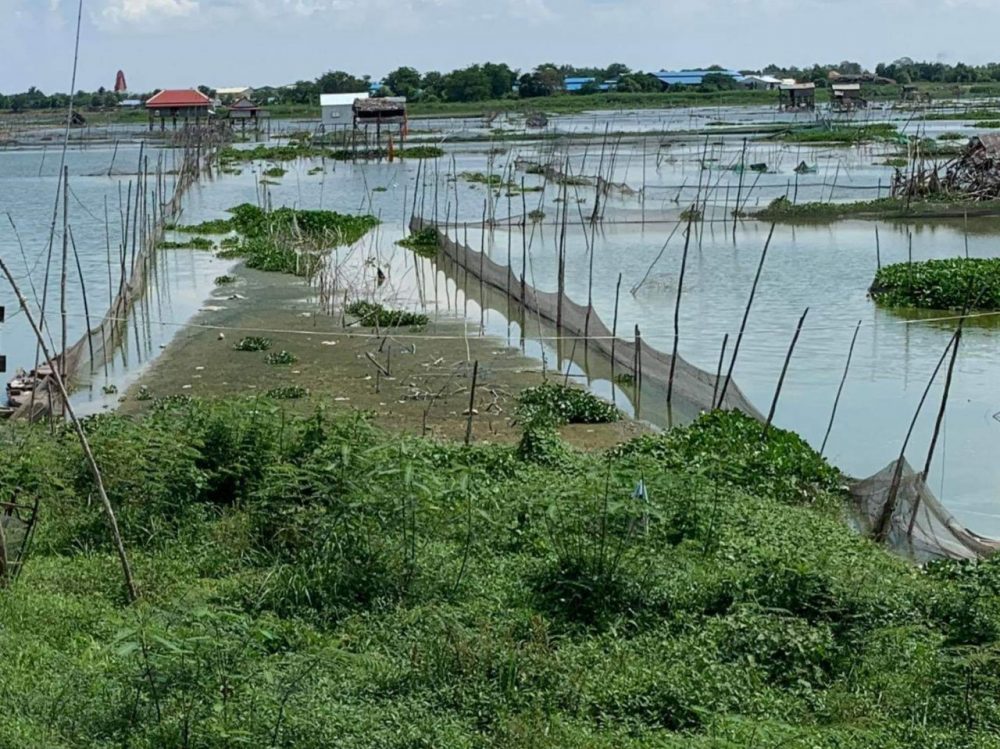 សាលារាជធានីថា នឹងរៀបចំបឹងសំរោងជាប្រយោជន៍សាធារណៈ