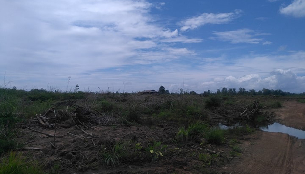 ពលរដ្ឋ​ជាង ១០០​គ្រួសារ​នៅ​ខេត្ត​ព្រះវិហារ​ចោទ​ក្រុមហ៊ុន​មួយ​ថា ឈូស​ឆាយ​ដីស្រែ​ពួកគាត់