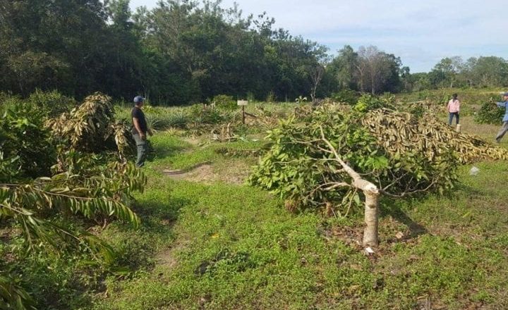 Pursat authorities issue one-week eviction notice to 31 families occupying protected land