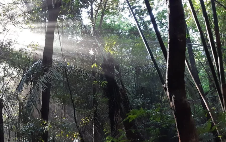 Indigenous People Protest Over Farmland in Keo Seima Sanctuary