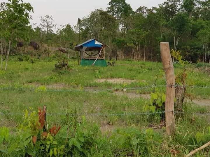 អាជ្ញាធរចាប់ផ្ដើមលេងធម៌ក្តៅ លើអ្នកដែលរំលោភយកដីរបស់រដ្ឋនៅក្នុងស្រុកទឹកផុស ខេត្តកំពង់ឆ្នាំង រាប់រយហិកតា, អ្នកដែលសង់រោងលើដីរដ្ឋត្រូវរុះរើជាបន្ទាន់ក្នុងរយៈពេល ៣០ថ្ងៃ