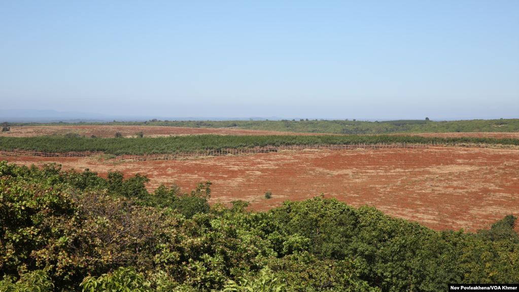 ក្រុមហ៊ុន HAGL វៀតណាម​​រងការ​ចោទ​​ថា មិន​ប្រគល់​ដី​ដល់​ជនជាតិ​ដើម​ភាគតិច​នៅ​រតនគីរី