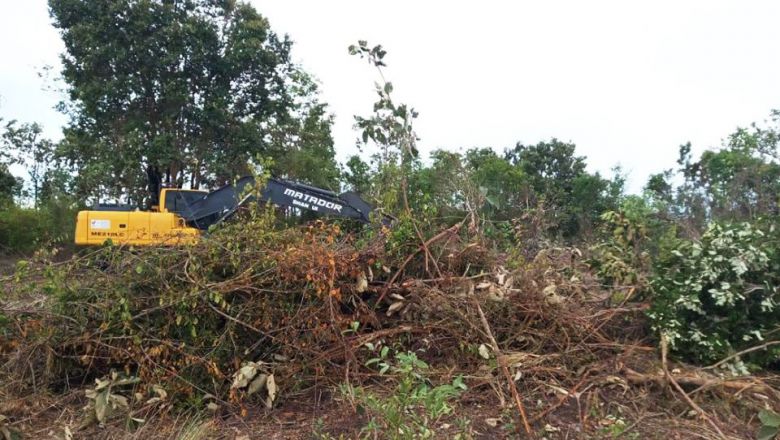 Tractor driver for hire ’clears’ state land