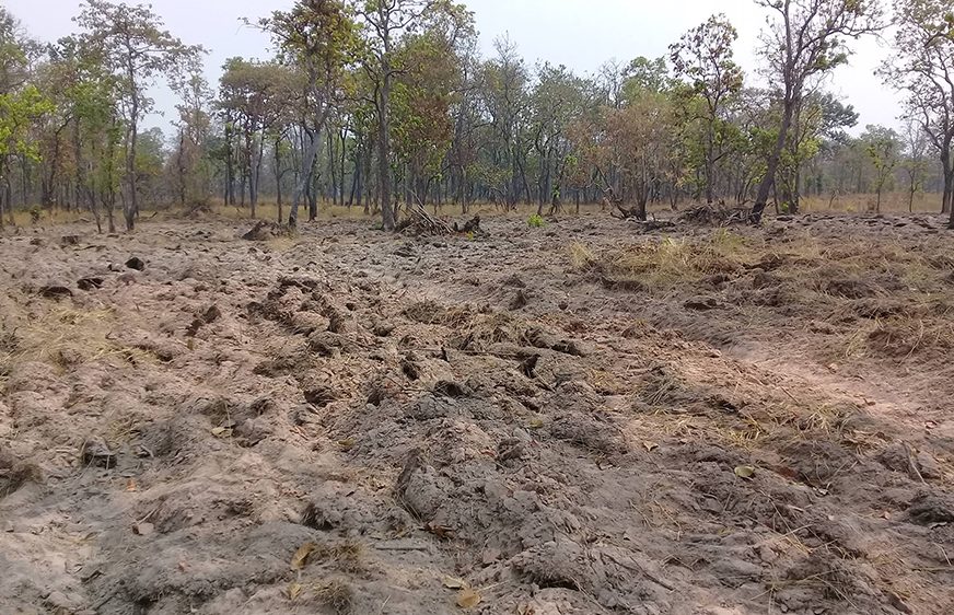 មន្ត្រី​​ជាន់​ខ្ពស់​​ក្រសួង​បរិស្ថាន​​អះអាង​​ថា​ បទ​ល្មើស​​ទន្ទ្រាន​​យក​​ដី​​ព្រៃ​​ខុស​ច្បាប់​​បន្ត​​កើត​មាន​​