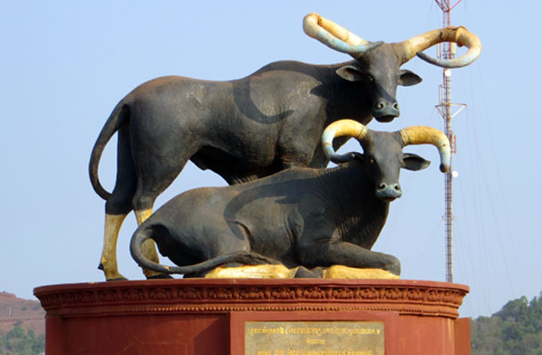 អ្នកឃ្លាំមើល​បរិស្ថាន​រក​ឃើញ​ដី​ព្រៃ​អភិ​រក្ស​ក្នុង​ខេត្ត​មណ្ឌលគិរី ដែល​មាន​ទំហំ​ជាង ២០គីឡូ​ម៉ែត្រ​ក្រុមហ៊ុន​ព័ទ្ធ​របង