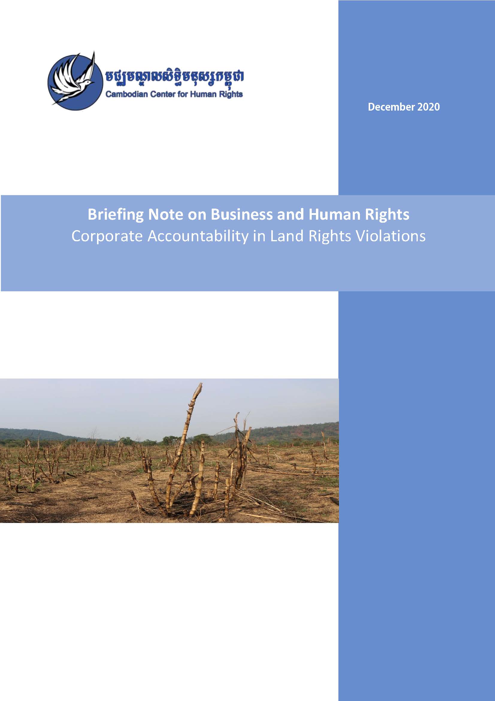 Corporate Accountability in Land Rights Violations