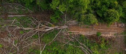 Communities track a path of destruction through a Cambodian wildlife sanctuary