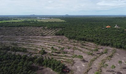 Royal decree to make Phnom Tamao Sanctuary a perpetuality 