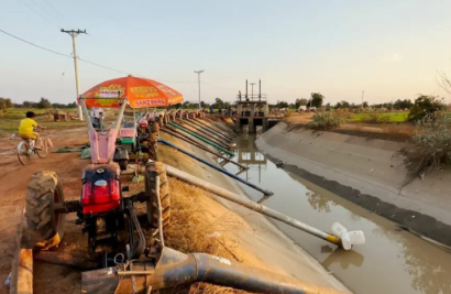 Farmers Demand For Release of Water as Shortages Damage Dry Rice Fields