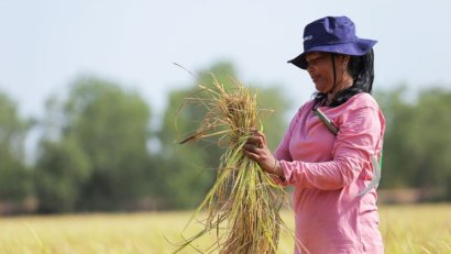 FAO launch PEARL agriculture initiative