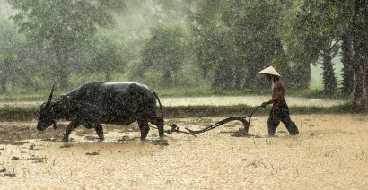 Cambodia court convicts land rights activists for inciting ‘peasant revolution’