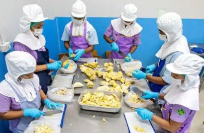 Thailand Lowers Fees for Cambodian, Laotian, Myanmar, and Vietnamese Workers