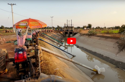 កសិករ​ដែល​​ប្រកបរបរ​​ធ្វើ​ស្រែប្រាំង​នៅ​ក្នុង​ខេត្ត​មួយ​ចំនួន​ ជាអាទិ៍​​ ខេត្ត​កំពង់ឆ្នាំង ពោធិ៍សាត់ និង​បាត់ដំបង ដង្ហោយ​ហៅ​ស្ថាប័ន​ពាក់ព័ន្ធ​ឱ្យ​ជួយ​លៃលក​រក​មធ្យោបាយ​ផ្ដល់​ទឹក​សម្រាប់​សង្គ្រោះ​ស្រូវរាប់ពាន់​ហិកតារបស់​ពួក​គាត់ ខណៈ​កសិករ​ភាគ​ច្រើន​ជា​អ្នក​