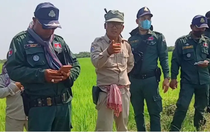 ពលរដ្ឋអះអាងថា អាជ្ញាធរស្រុកឯកភ្នំបានយកថ្នាំបាញ់សម្លាប់ស្រូវពួកគាត់អស់ជាច្រើនហិកតា