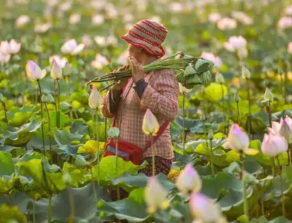 New study finds that microfinance is exacerbating climate precarity and harm in Cambodia