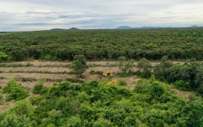Razing of Phnom Tamao Forest Begins