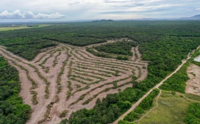 Gov’t: Phnom Tamao Is Too Sandy for Trees, Wild Pigs Were a Nuisance 