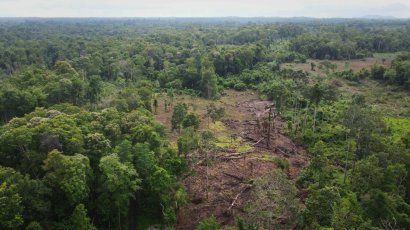 Power Line Markers Reveal Looming Path of Destruction in Prey Lang 
