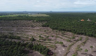 Experts, activists cheer Royal Decree on Phnom Tamao 