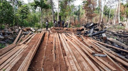 Like his father, Hun Manet vows to end illegal logging