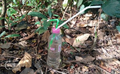 Forty Percent of Indigenous Children in A Ratanakiri Commune Addicted to Drugs
