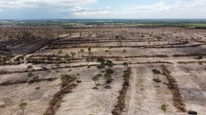 	 Hundreds From Bodyguard Unit Take Over Phnom Tamao Reforestation Efforts 