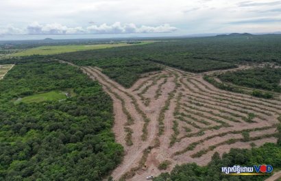 យុវជន​និង​សកម្មជន​បរិស្ថាន​ធ្វើ​ពហិការ​មិន​គាំទ្រ​សេវាកម្ម​របស់​ក្រុមហ៊ុន​បំផ្លាញ​ព្រៃឈើ​នៅ​តំបន់​ភ្នំតាម៉ៅ 