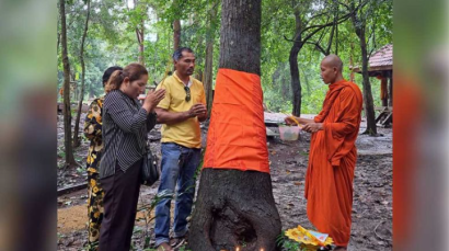 Ex-illegal logger joins forest protection fight 