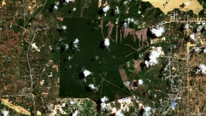 Phnom Tamao Forest: 130 Hectares Destroyed in Five Days 