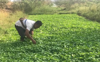 Last Love Party Leader Gives In, Will Be ‘Ordinary Farmer’ 